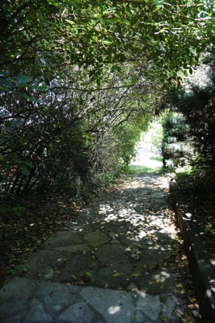 A L'Oree Des Cevennes Aigremont 외부 사진